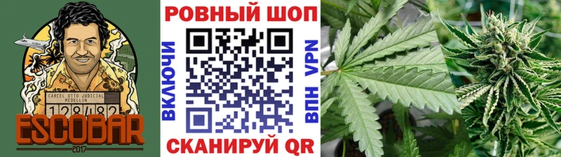 Виды наркоты Звенигород СОЛЬ  Псилоцибиновые грибы  Меф  ГАШИШ  Кокаин  Бошки Шишки  АМФ 