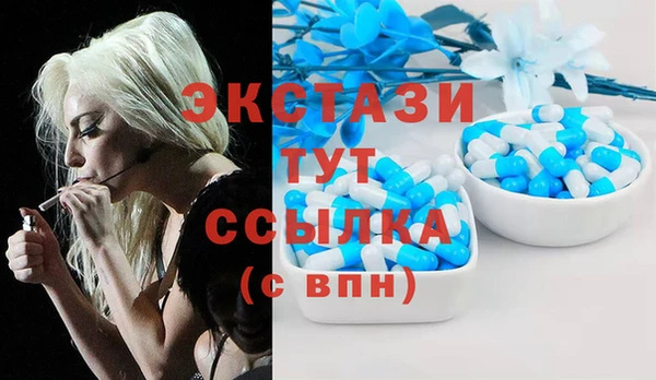 индика Абинск