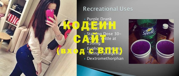 индика Абинск