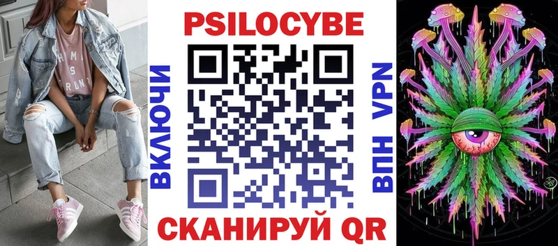 Псилоцибиновые грибы Cubensis  закладка  Звенигород 