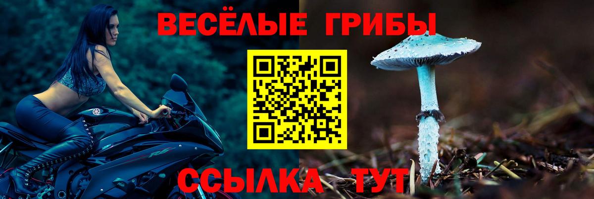 Галлюциногенные грибы прущие грибы  Вход с VPN  Звенигород 