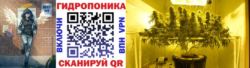 Каннабис индика  Звенигород 